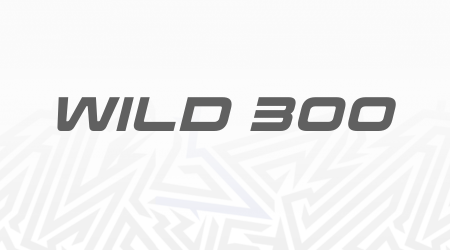 WILD 300